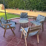 Palmeras28
